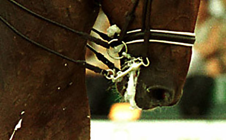 “Close-up of a horse’s mouth showing artificial foam and tight reins, illustration for Isaac Ares’ article on the FEI ban and ethical riding”