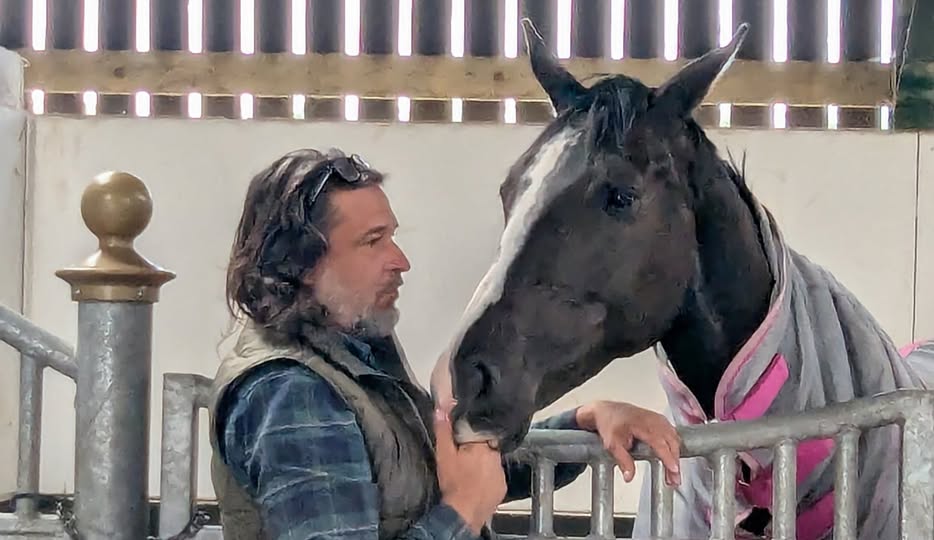 Close-up of a horse’s muzzle and lips, article by Isaac Ares about sensitivity, communication, and trust in the horse’s mouth”