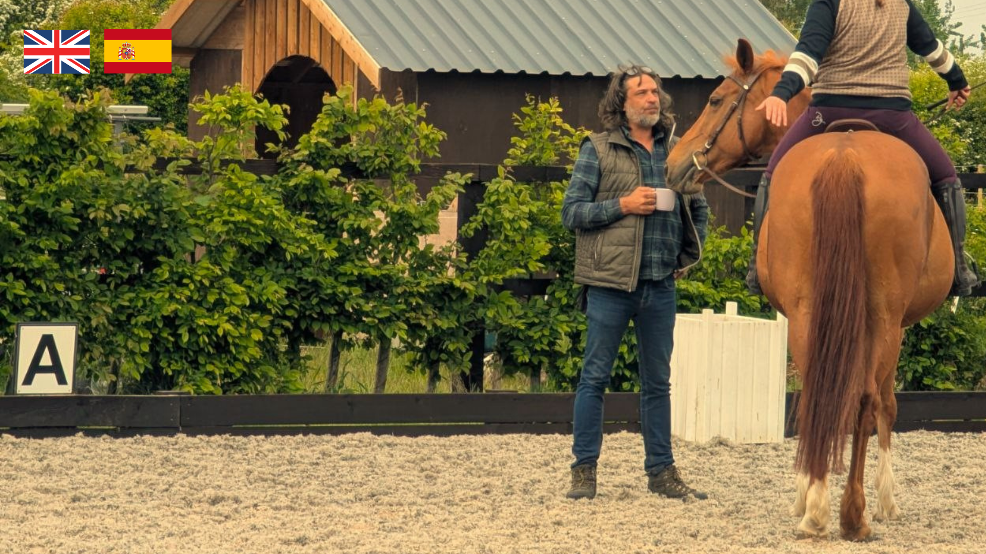 “Isaac Ares walking in the arena,  author of ‘Classical Dressage as a Path,’ a reflection on biomechanics, philosophy, and the ethics of understanding horses.”