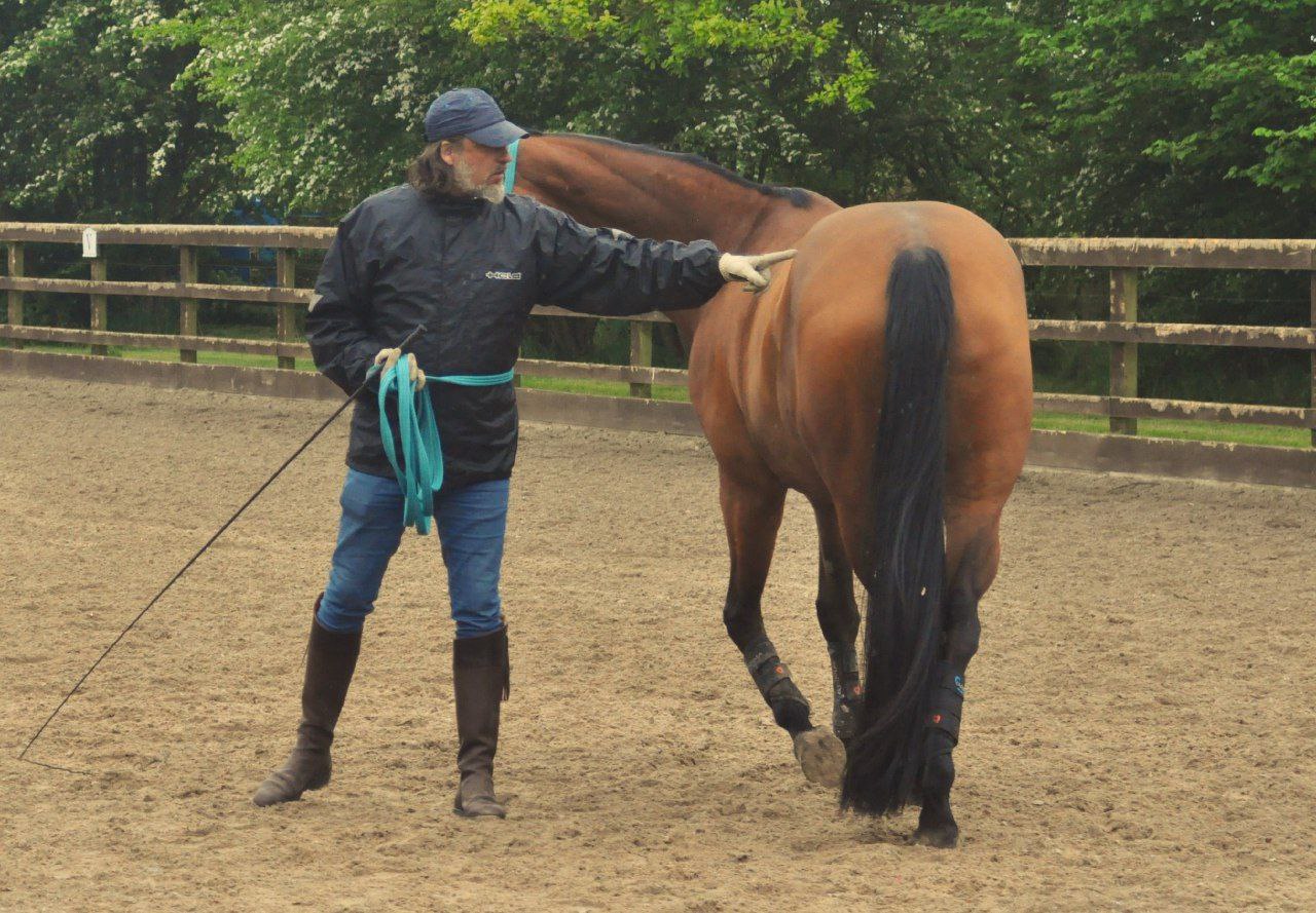 “Isaac Ares guiding a horse in groundwork, demonstrating classical biomechanics and soft body alignment.”