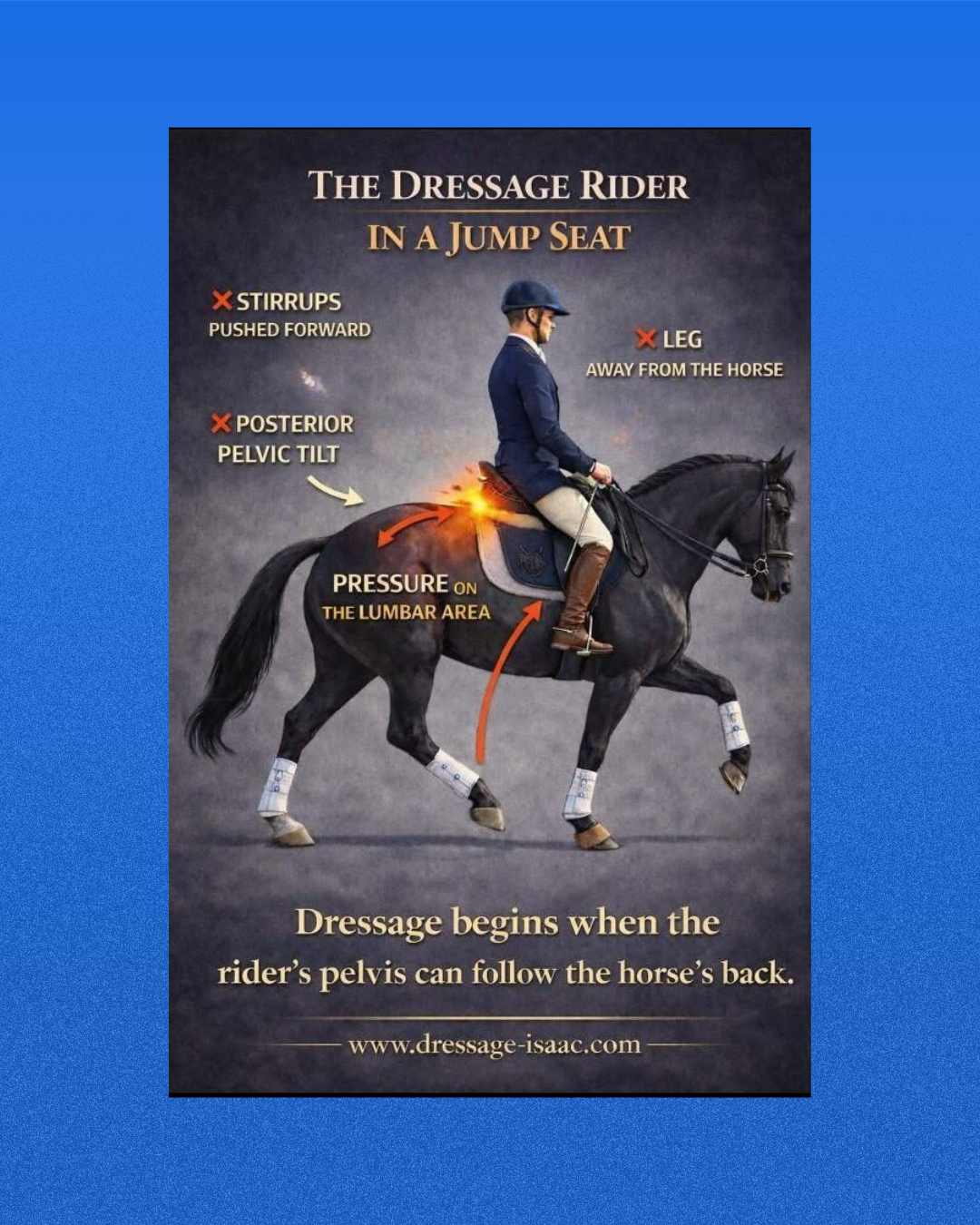 The dressage rider in a jump seat